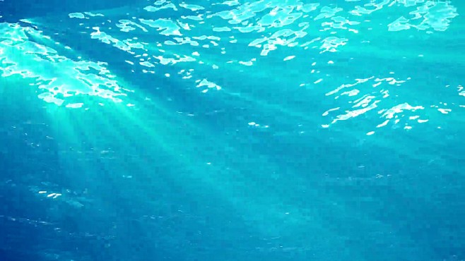 高质量的海浪动画从水下漂浮浮游生物。光线...