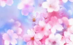 唯美桃花鲜花壁纸背景图_新图网 https://ixintu.com 壁纸 桃花 鲜花