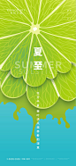 夏至海报