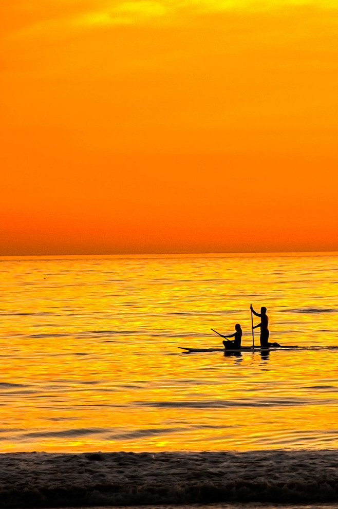 Photograph Golden Sa...