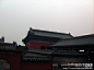 北京第一跑误进天坛公园,多图, 难觅芳踪呢旅游攻略