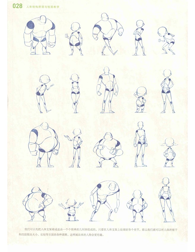 人体结构原理与绘画教学_28