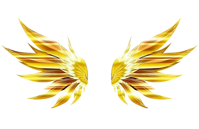 金翅膀