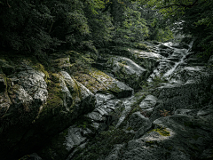 胡胡胡胡胡胡胡胡胡丶采集到合成背景