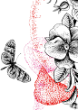 e5d6ef16214719.562a6f9690436