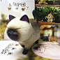 喵星人新品 狂欢万圣节 空想造物 猫铃铛9款猫咪手办盒装公仔摆件-淘宝网
