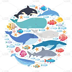 海洋哺乳动物和鱼类围成一圈。独角鲸，蓝鲸，海豚，白鲸，座头鲸，露脊鲸和抹香鲸载体隔离