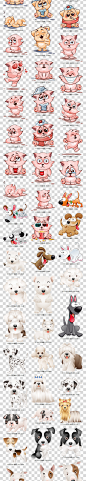 小狗宠物狗犬类狗品种大全图片卡通卡通狗