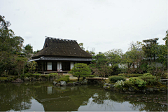 wangyuanl5038采集到庭院
