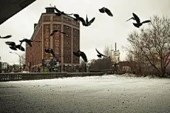 清晨的街道，安安静静。早起上摄影师拍出不一样的城市。
摄影师：Julien Coquentin
早上好啊～ ​​​​