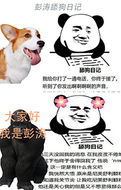 剑来第一人采集到表情包