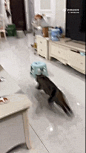 7d69b6624ceceeb67dcbd4e1d257f0d9.gif (202×359)