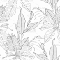 热带风情的花线黑白棕榈叶和花朵无缝花纹，线条背景。奇异的丛林壁纸。