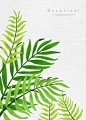 春天清新绿色热带植物树叶仙人掌棕榈图案背景海报PSD设计素材-淘宝网