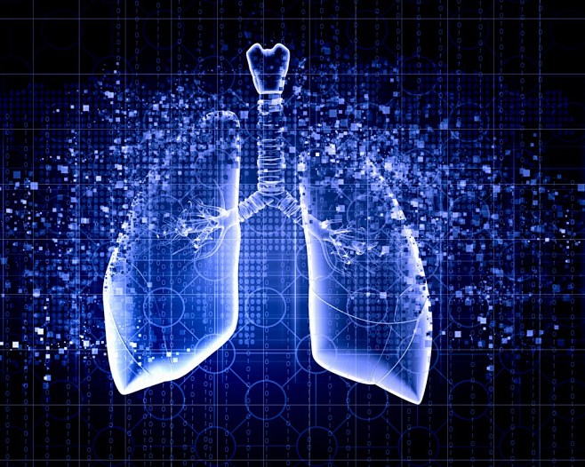 人体肺部器官科技解图