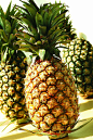 四季树菠萝的引种表现及配套栽培技术