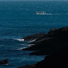 @一百个大不刘   背景图