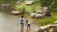 长沙巴溪洲岛湿地生态公园 Changsha Baxizhou Island by SWA
