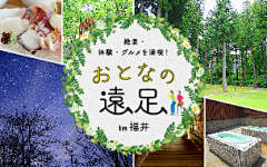 小锋子2采集到日本海报