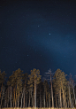 ponderation:

Night Forest by Alexandr Derkachyov 