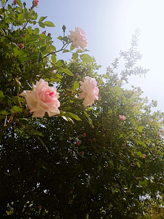 韩韩菡菡采集到不重要的画板