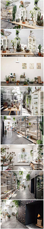 一间满是植物的店 #空间设计#