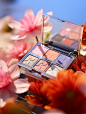 lypp_eyeshadow_palettes_with_pink_flower_petals_and_in_the_sky__c2c2081e-daa8-46ec-b85a-36cc06fd4659