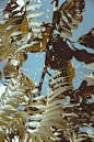 marjan_blan-d3LWufHpICE-unsplash