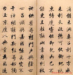耗子丫丫采集到书法(张即之《度人经贴》)
