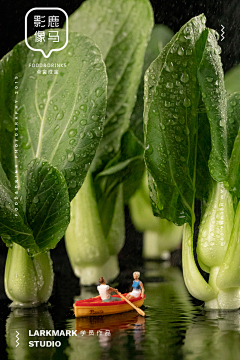盈佳欣采集到微观