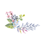 手绘花