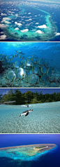 【旅行摄影胜地：大美西沙群岛】西沙群岛的风光美景堪比马尔代夫，是中国南海主岛的四大群岛之一，主要由宣德群岛和永乐群岛组成，一共有22个岛屿、7个沙洲，还有10多个暗礁和暗滩！在西沙群岛上，栖息的鸟类有6万多只，40多种，所以这里也有“鸟的天堂”的美誉！