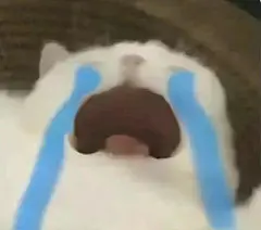 img-16814017424071a18ccb80837316e2df0b25a13f872954e7b90de49ebc856402eb7f7d5117707_edit_1002373546445486