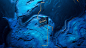 1eda6c106121039