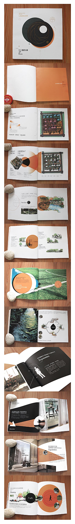 丰子张采集到Brochure Design | 画册 · 宣传册 · 折页 