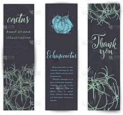 仙人掌,动物手,可爱的,商务,请柬,贺卡,暗色,绘制,问候