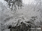 雪色天门 雾凇花开,张家界, 寂泠雨旅游攻略