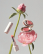 其中包括图片：STILL LIFE — Carly Tice
