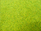 Green Grass Background Four | Photo Texture & Background
