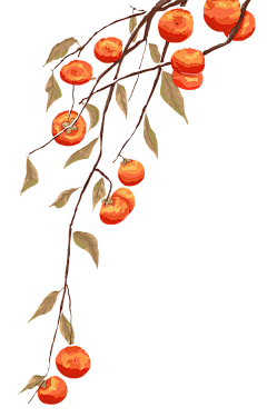 木果里采集到插画小元素