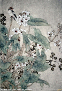 GAFA_金鱼gor采集到国画