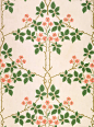 William Morris 威廉·莫里斯 艺术设计