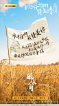 风味人间4赞诗