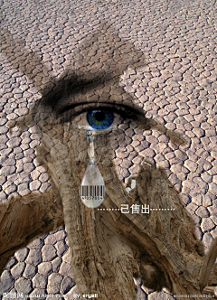 阿莫斯瓦辛采集到平面