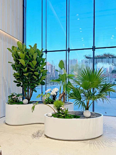 Eckes-bear采集到绿植造型组合