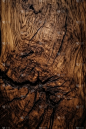 棕色木质背景，树干纹理状图案，做旧处理