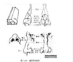 淼之诗采集到教程