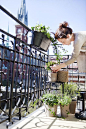 Dreaming of an herb garden on a balcony  overlooking an amazing view!: 