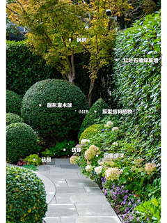 波力力的海苔采集到植物配置