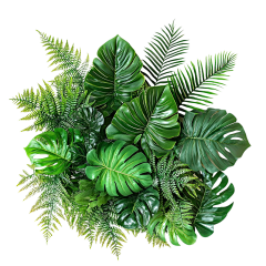 与嫣相伴采集到PNG
